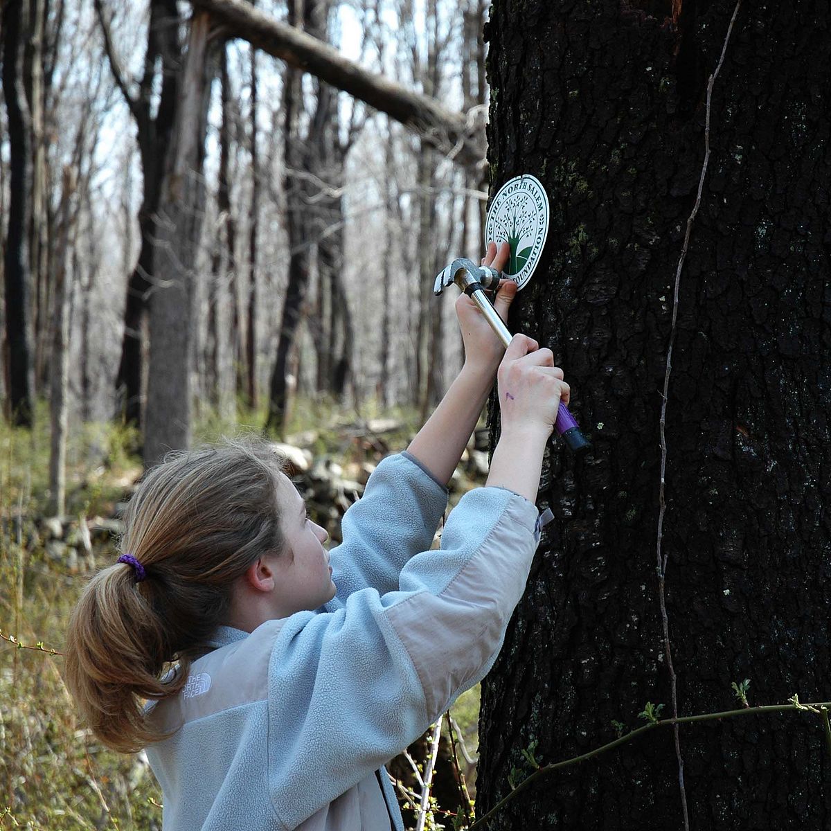 NSOLF volunteer hard at work