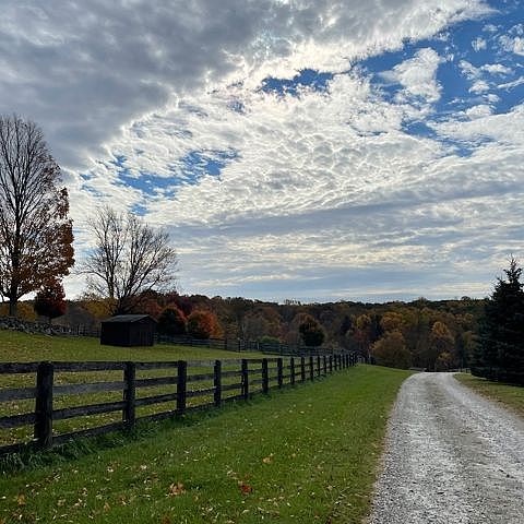 Levinson Farm Driveway