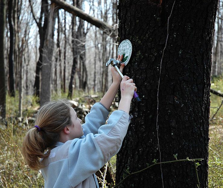 Volunteer posting a trail marker