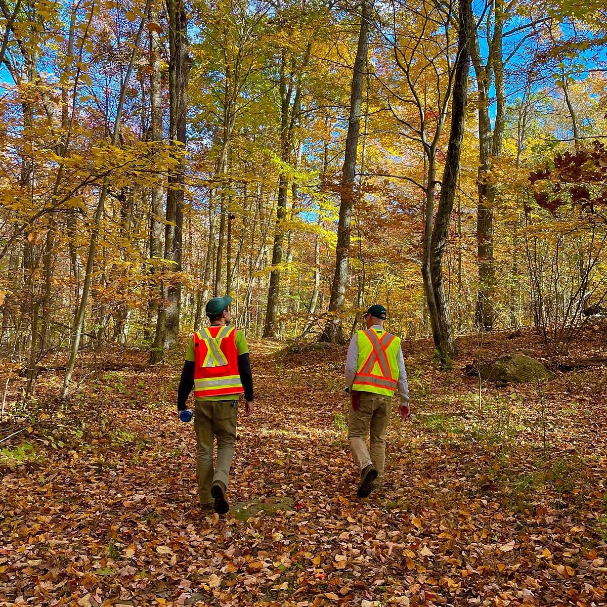 Hardscrabble Preserve